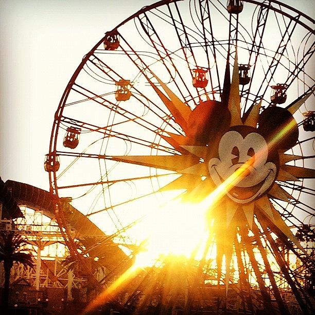 Mickey Photograph - Mickey In The Sun☀ by B C
