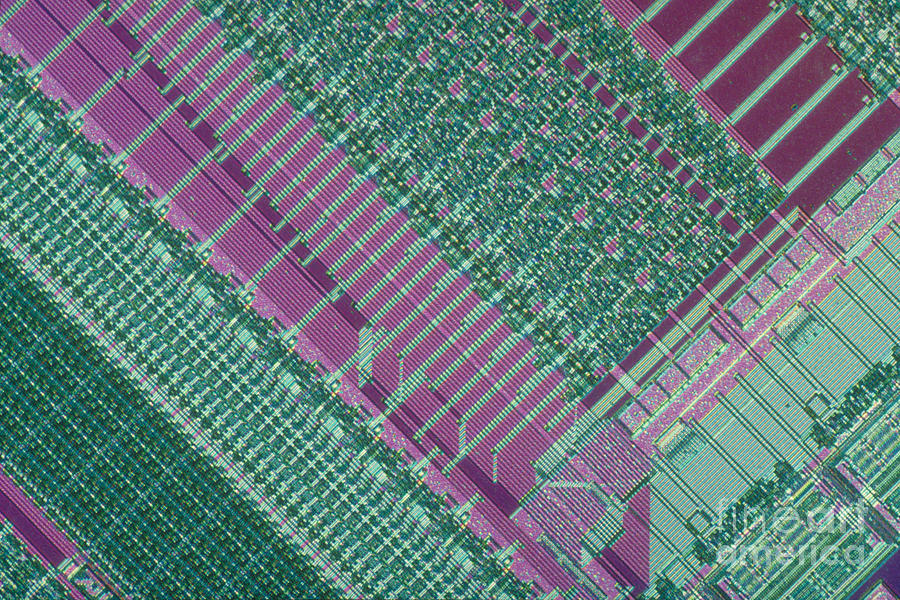 Micrograph Of Chip Photograph by Michael W. Davidson