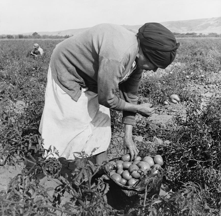 History Photograph - Middle-aged Mexican-american Migrant by Everett