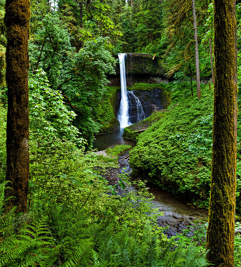 Green Photograph - Middle North Falls by David Wynia Green Photograph - Middle North Falls by David Wynia