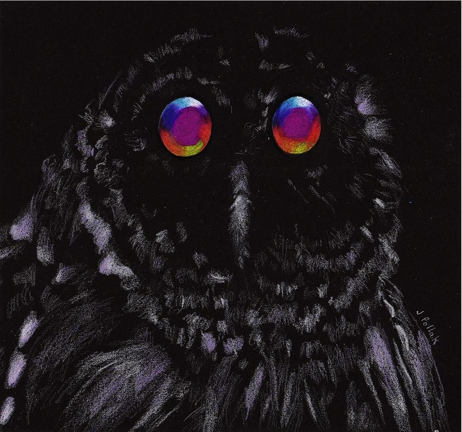 Owl Drawing - Midnight Owl by Joan Pollak
