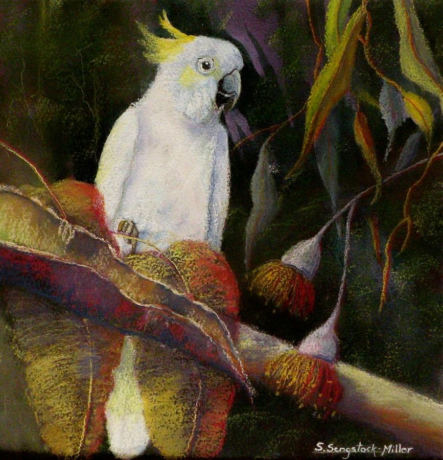 Cockatoo Painting - Midnight Watch by Sandra Sengstock-Miller