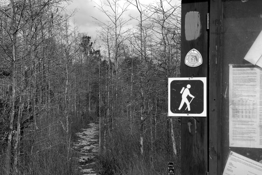 Mile Marker 0 Florida Trail Photograph by David Lee Thompson