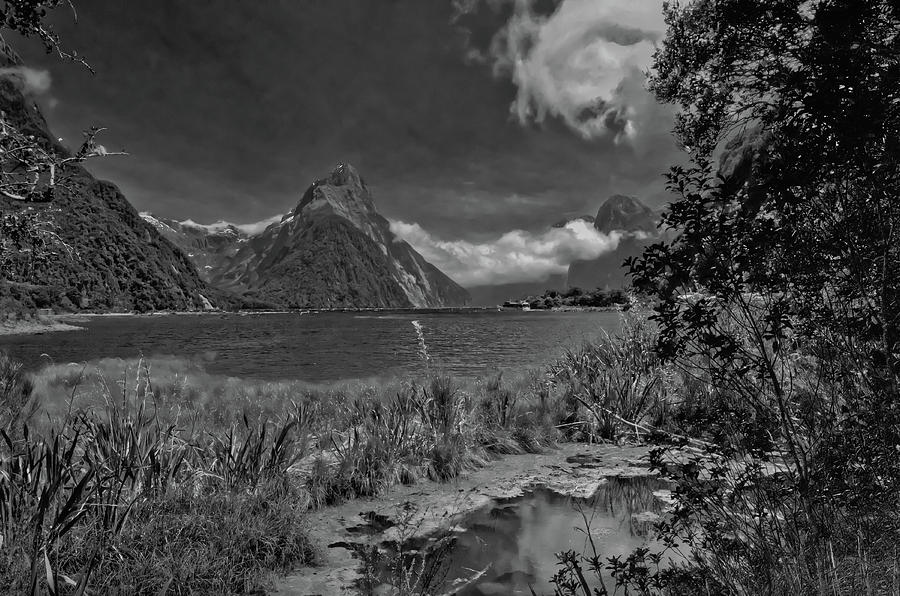 Milford Sound in Black and White Photograph by Harry Strharsky