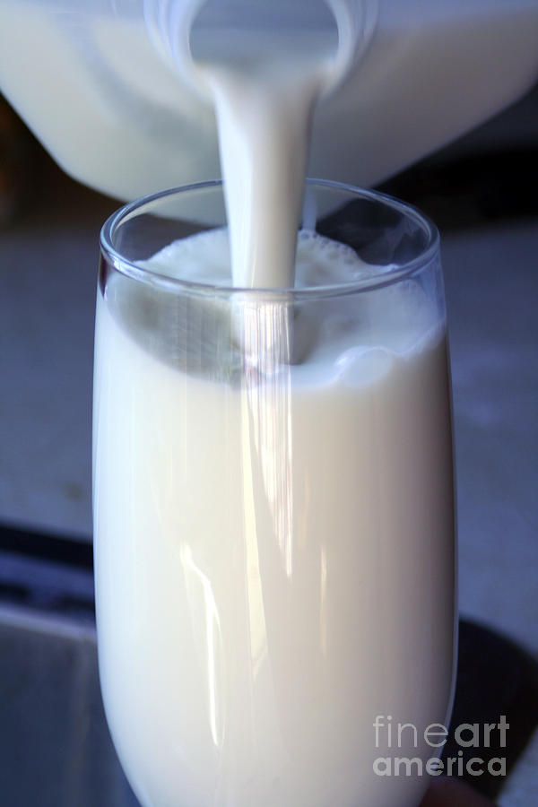 Milk 2 Photograph by Susan Stevenson