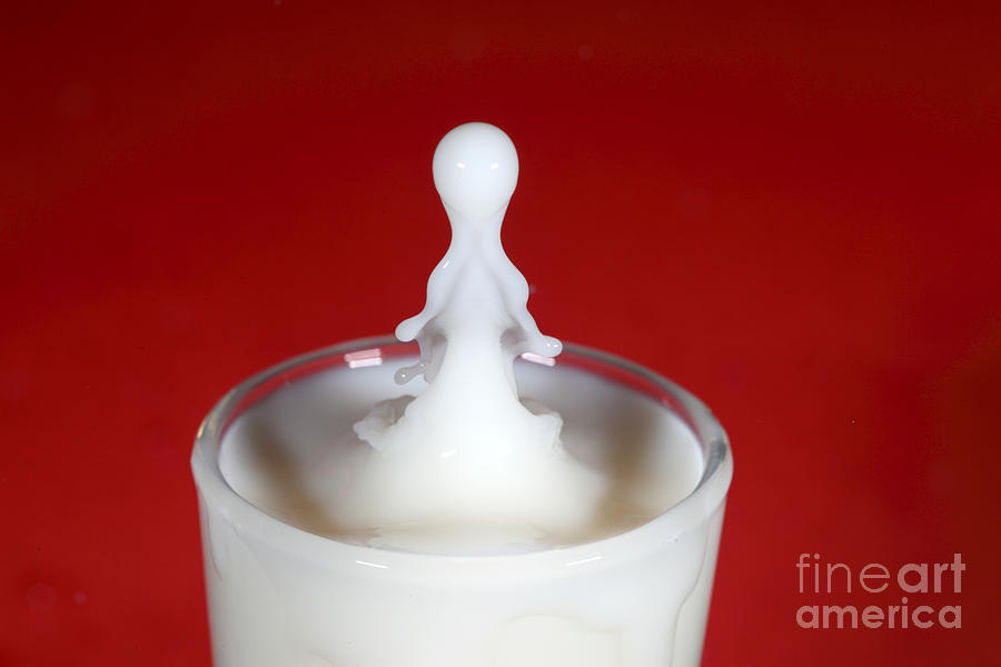 Milk Splash Photograph by Ted Kinsman