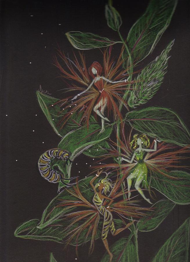 Milkweed Moment Drawing by Dawn Fairies