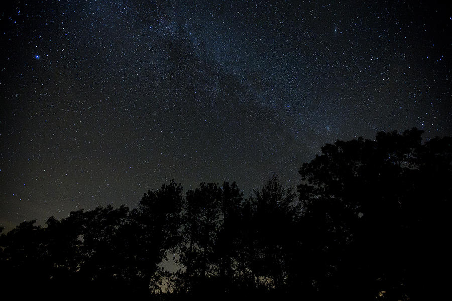 Milky Way  Photograph by Sara Hudock