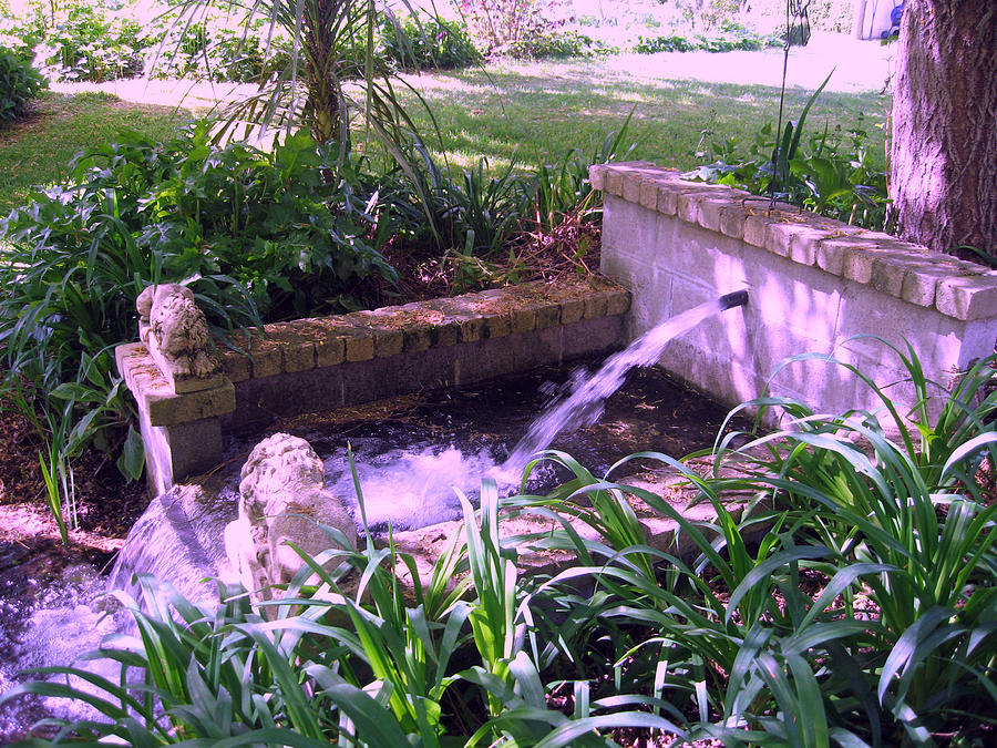 Millstream Gardens 12 Photograph by Rachael Shaw Fine Art America