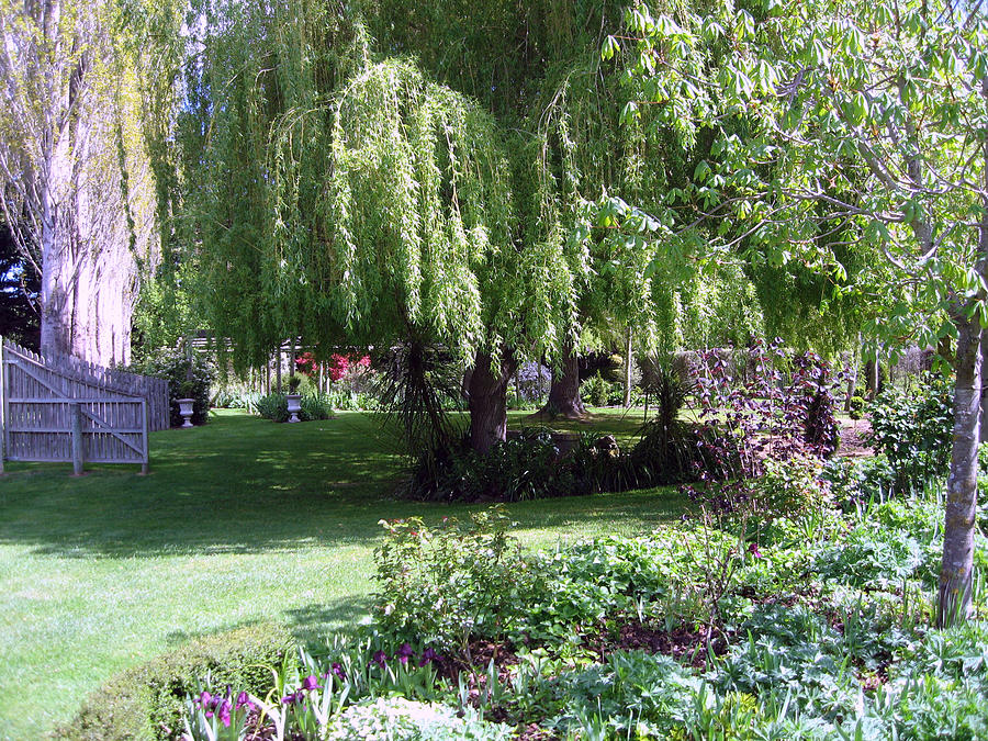 Millstream Gardens 9 Photograph by Rachael Shaw Fine Art America