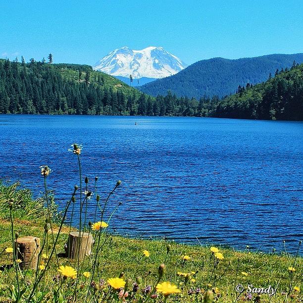 Mineral Lake, Washington... With Mt Photograph by Sandra Mortola