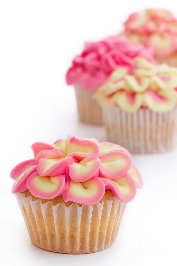 Cake Photograph - Mini flower cupcakes by Ruth Black
