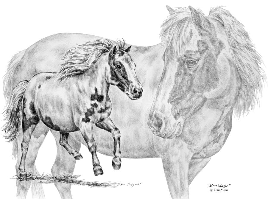 Mini Magic - Miniature Horse Art Print Drawing by Kelli Swan