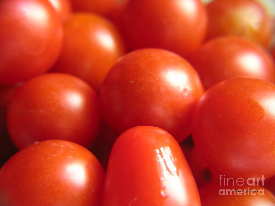 Mini Tomatos Photograph by Yumi Johnson