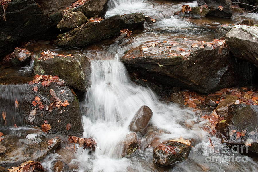 Mini Waterfall Photograph by Michael Waters Mini Waterfall Photograph by Michael Waters