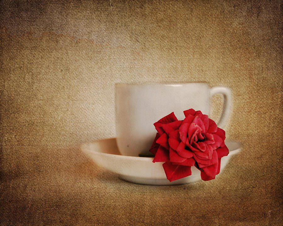 Miniature Red Rose IV Photograph by Jai Johnson