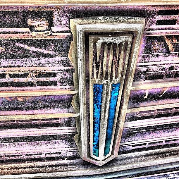 Car Photograph - Mini
#mini #badge #clubmam #grill #hdr by Alex Martin