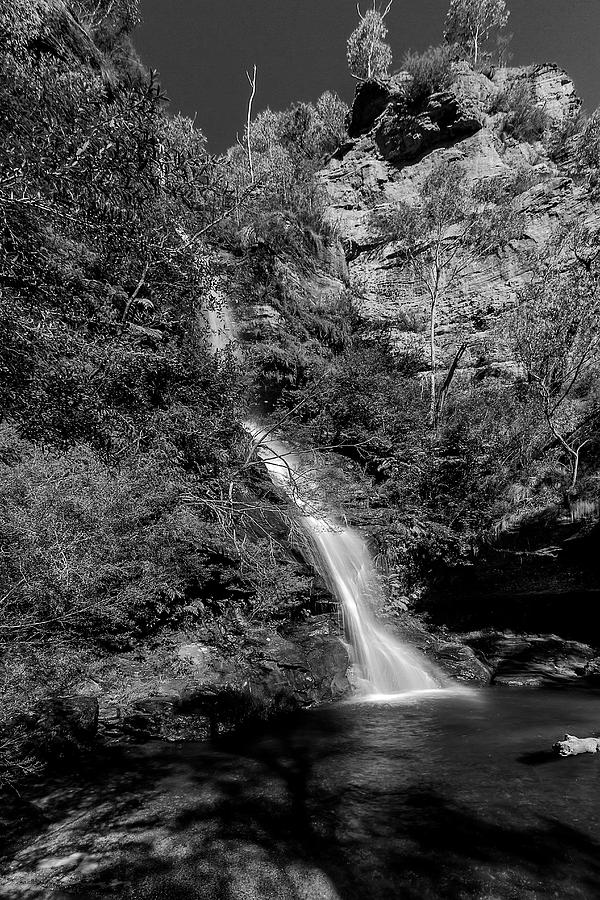 Tree Photograph - Minnehaha Falls - Katoomba NSW by Mark Lucey