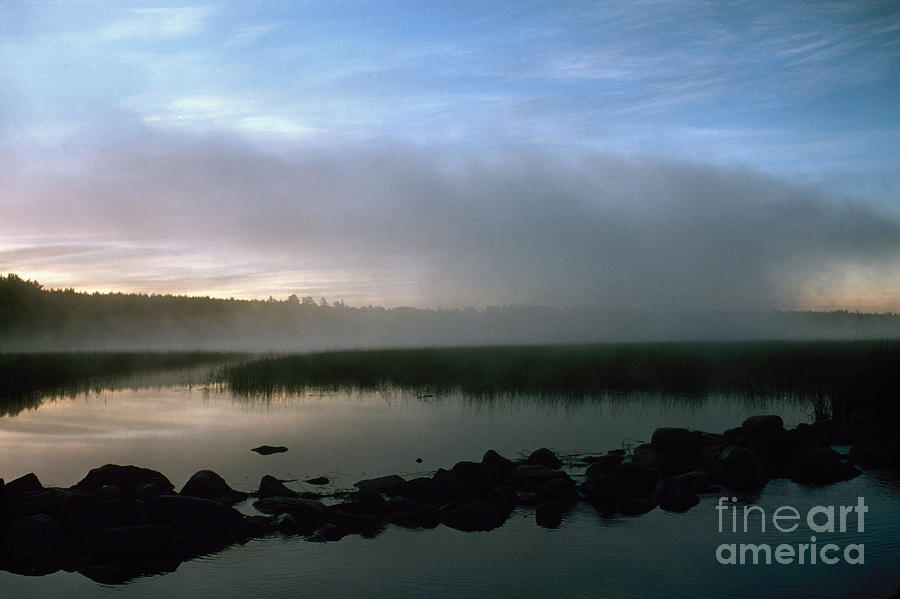 Minnesota: Lake Itasca Photograph by Granger