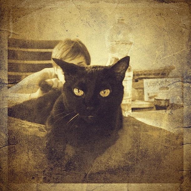 Vintage Photograph - Minou #iphone #instagram #iphoneography by Roberto Pagani