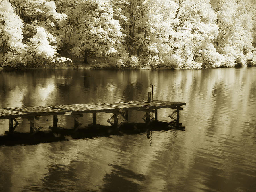Mint Springs Lake - 3 Photograph by Alan Hausenflock