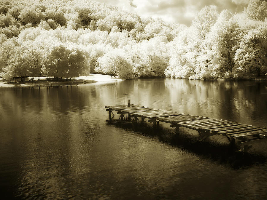 Mint Springs Lake - 4 Photograph by Alan Hausenflock
