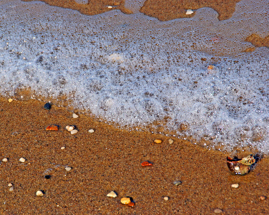 Minutiae of Beach Life Photograph by Lynda Lehmann