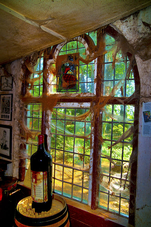 Mirati Wines Window SA Photograph by Rick Bragan
