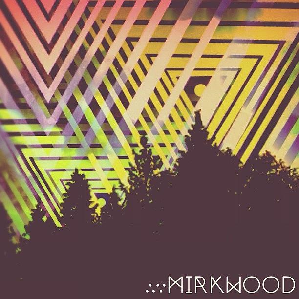 Mirkwood Just Another Edit Of The Same Photograph by Phillip Martin