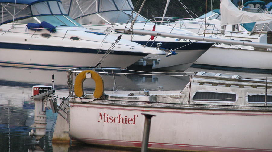 Sailboat Photograph - Mischief by Sheila Rodgers