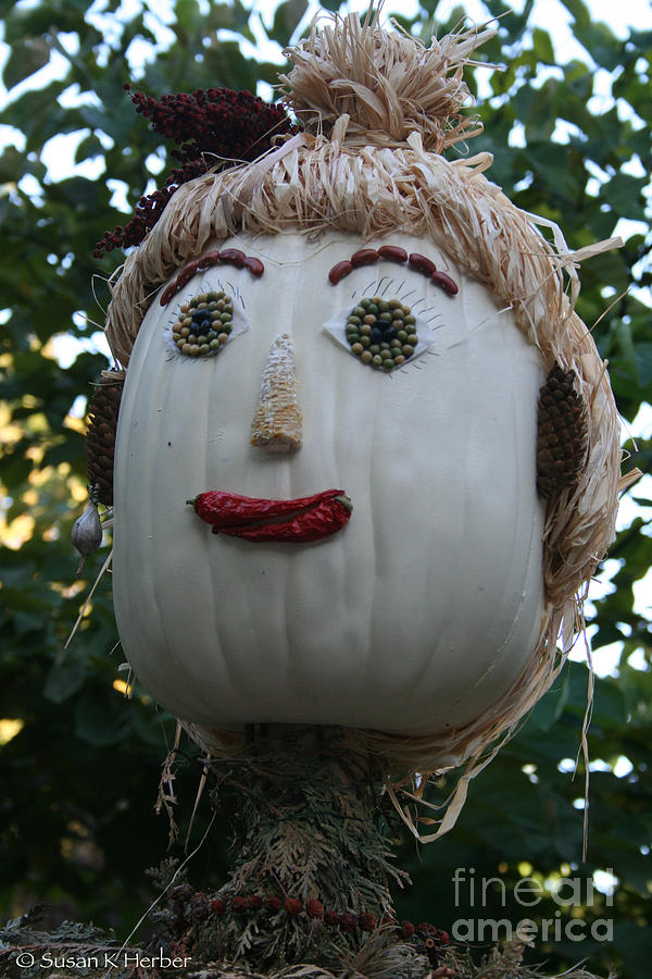 Miss Julia Scarecrow Photograph by Susan Herber