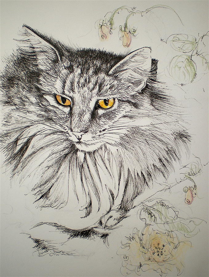 Cat Drawing - Miss Kitty by Dominique Eichi