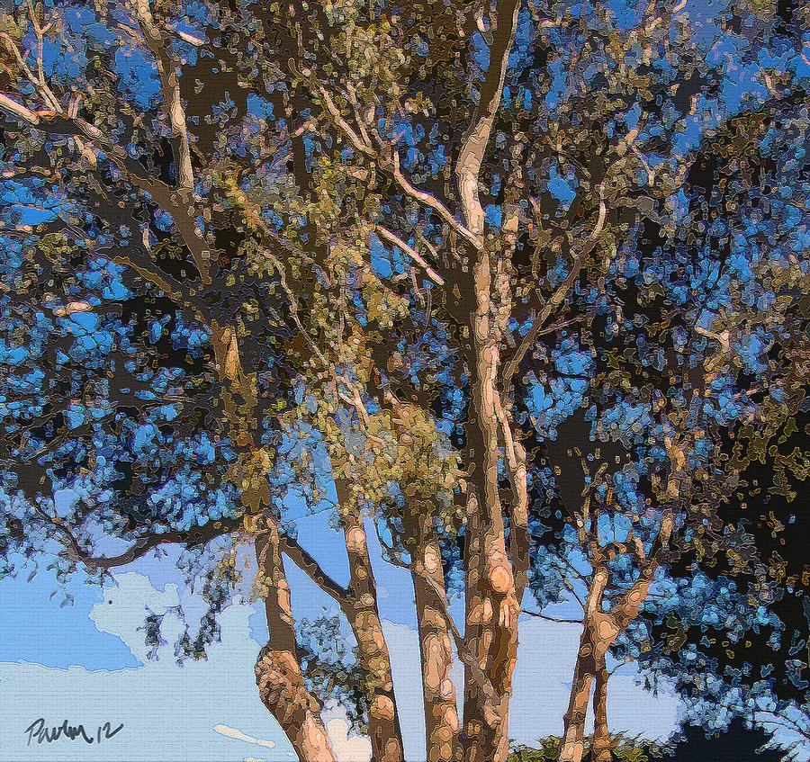 Mission Ranch Eucalyptus - Carmel CA Digital Art by Jim Pavelle
