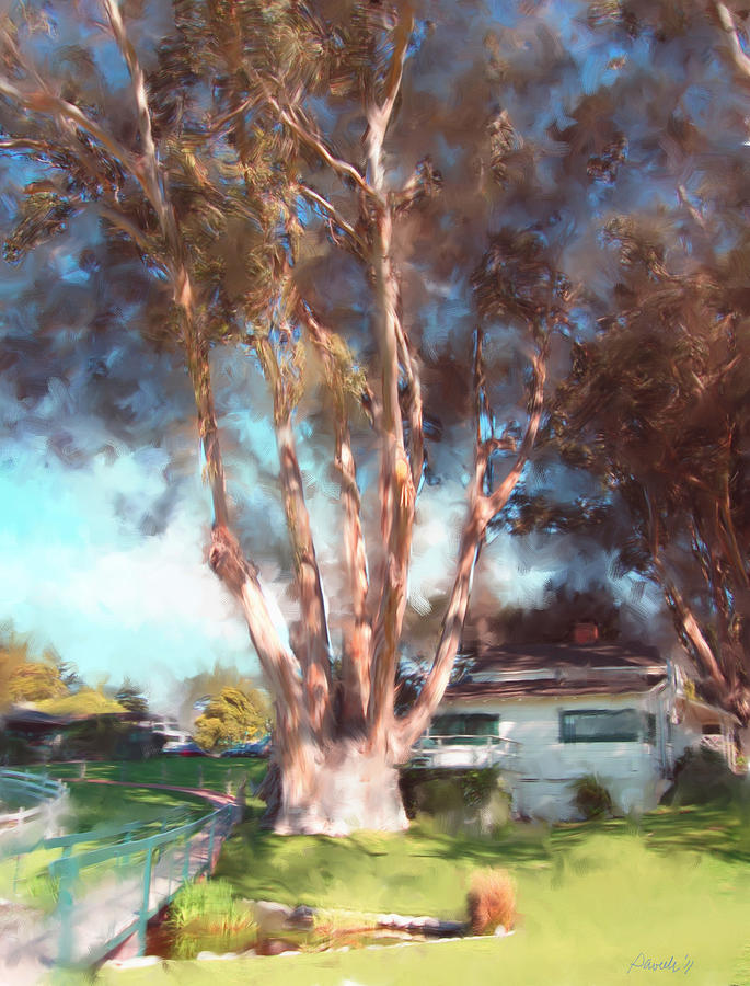 Mission Ranch Eucalyptus Digital Art by Jim Pavelle