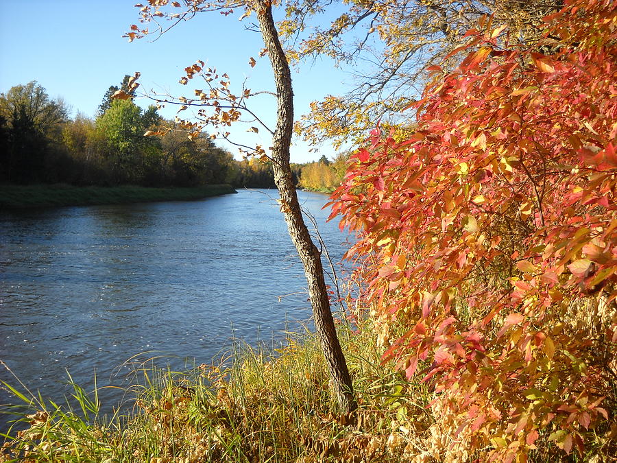Mississippi River Bank Fall Color Photograph by Kent Lorentzen