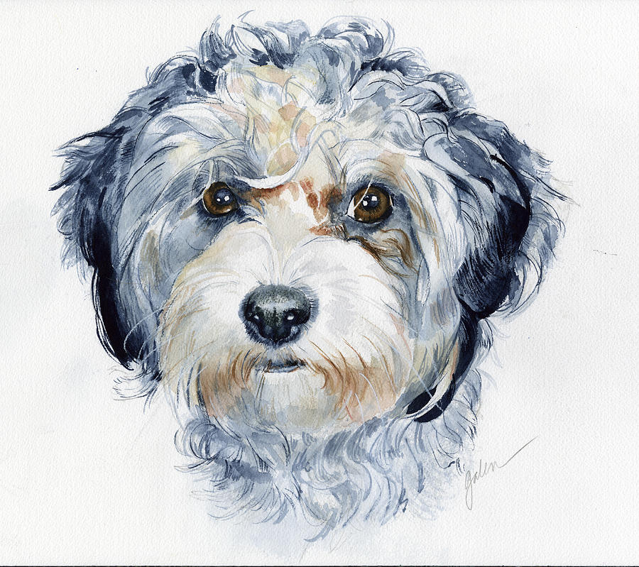 Dog Painting - Missy May by Galen Hazelhofer