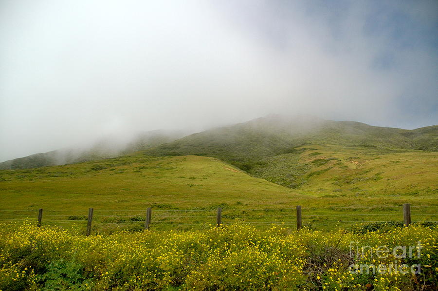 Mist of the Hills Photograph by Johanne Peale