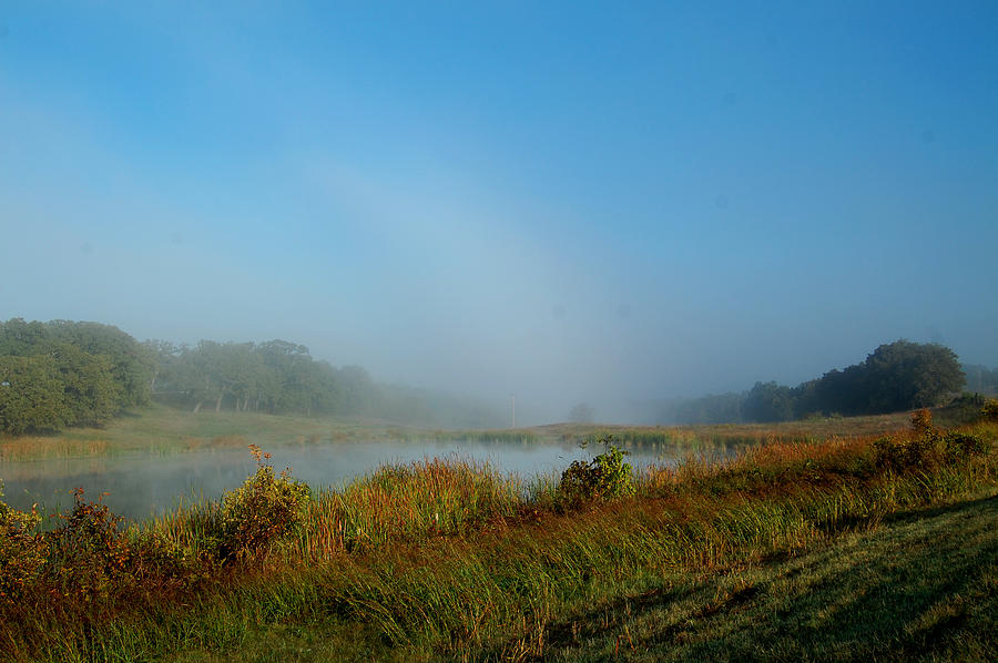 Tree Photograph - Mist On The Pond by Cindy Rubin