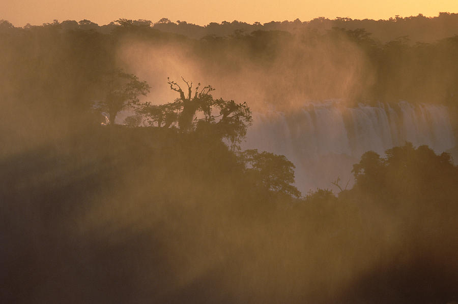Mist Rising From Rainforest Photograph by Konrad Wothe