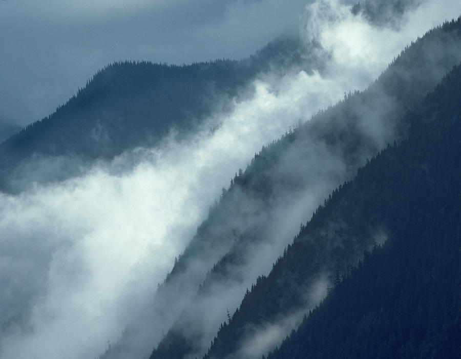 Mist Rising In The Cascade Mountains Photograph by Tim Fitzharris