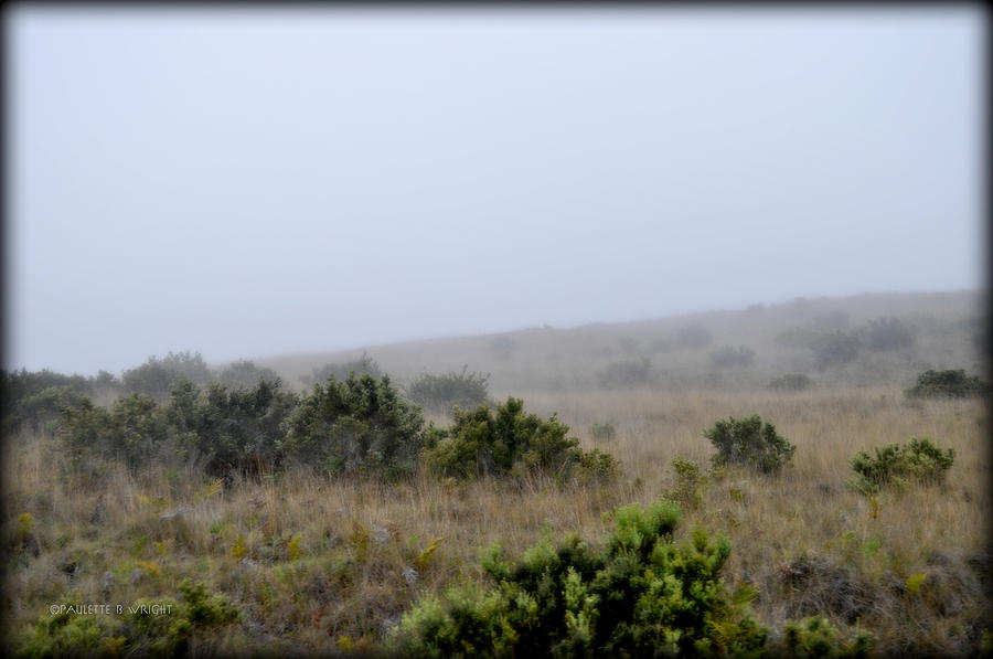 Nature Photograph - Mists Between The Hills by Paulette B Wright