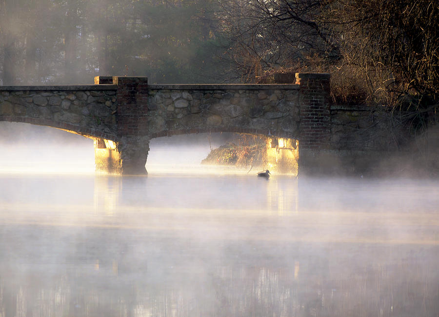 Duck Photograph - Misty Bridge Sunrise by Vicki Jauron