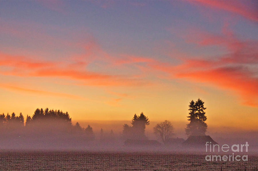 Nature Photograph - Misty Country Morning by Sean Griffin