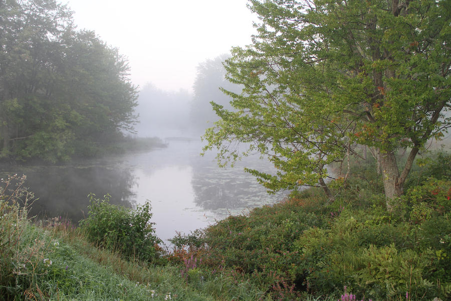 Misty Creek 1 Photograph by Richard De Wolfe