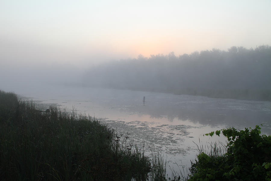Misty Creek 2 Photograph by Richard De Wolfe