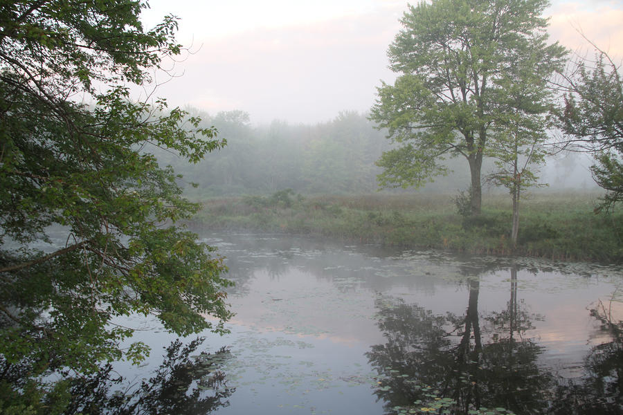 Misty Creek 3 Photograph by Richard De Wolfe