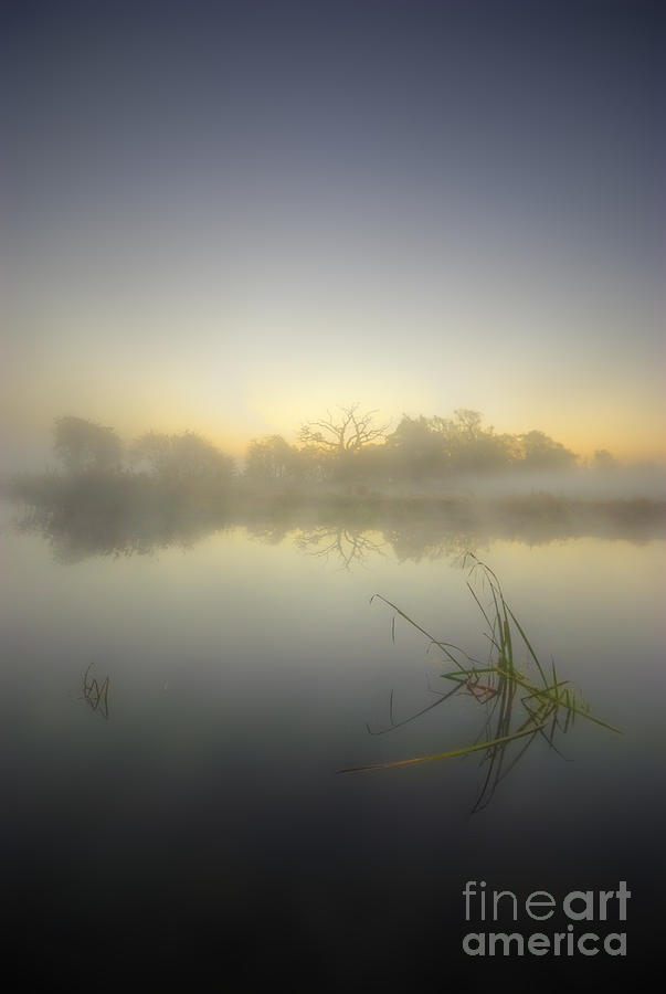 Misty Dawn 4.1 Photograph by Yhun Suarez