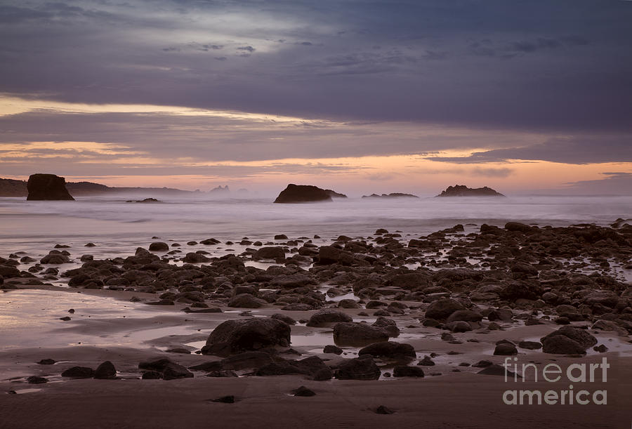 Beach Photograph - Misty Dawn by Timothy Johnson