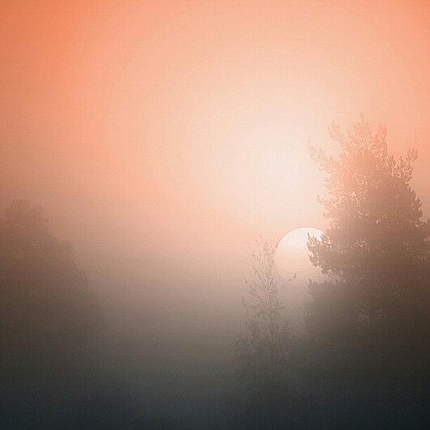 Sunset Photograph - Misty #iphonesia #instagood by Robin Hedberg