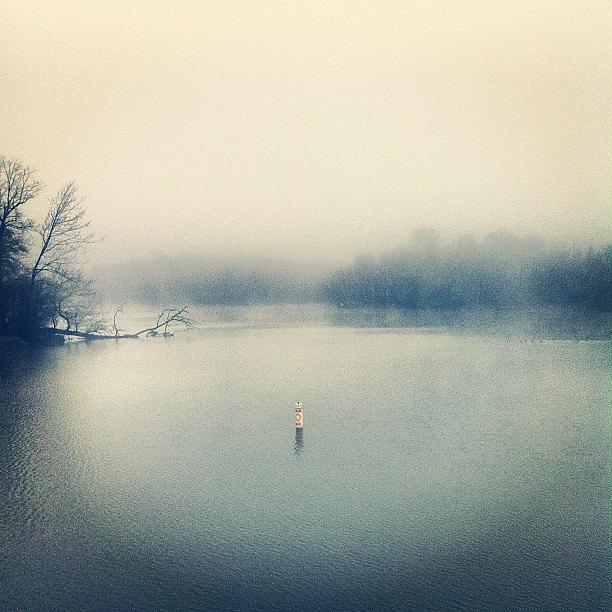 Tree Photograph - Misty Lagoon by Paul Wathen